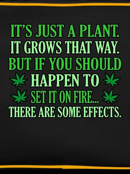 Cannabis