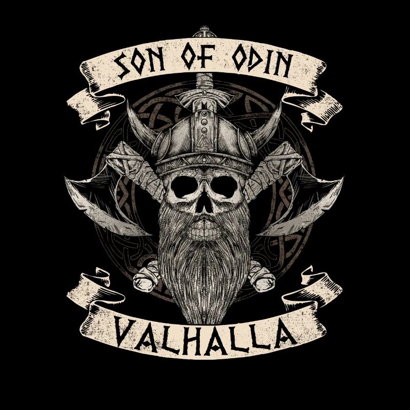 Fils d’Odin Viking Valhalla