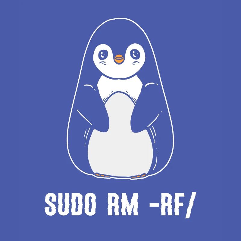 sudo rm rf / Programmeur informatique Linux