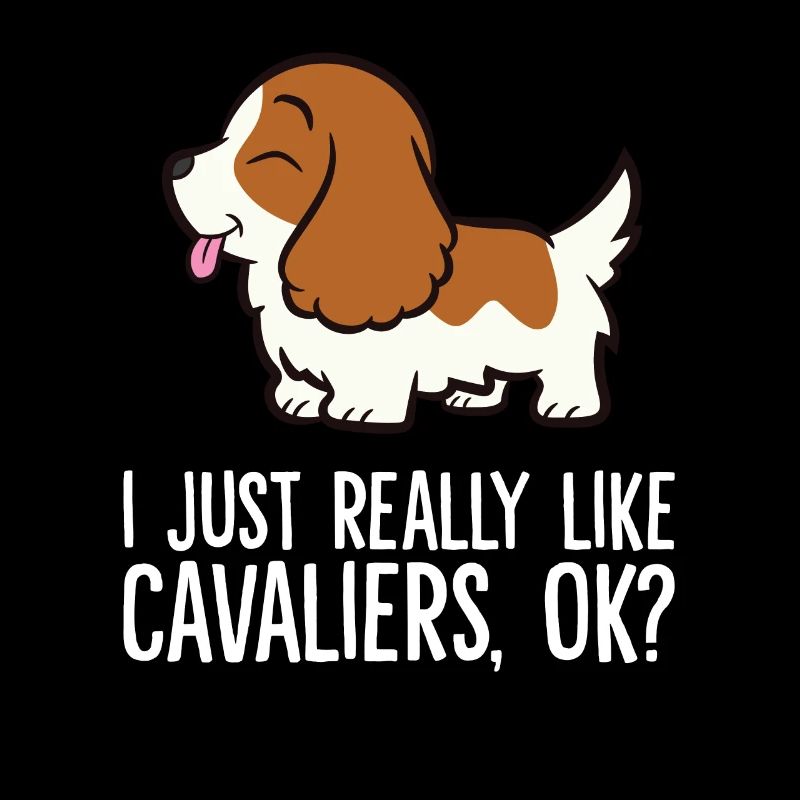 J’aime beaucoup Cavaliere, d’accord? Cavalier