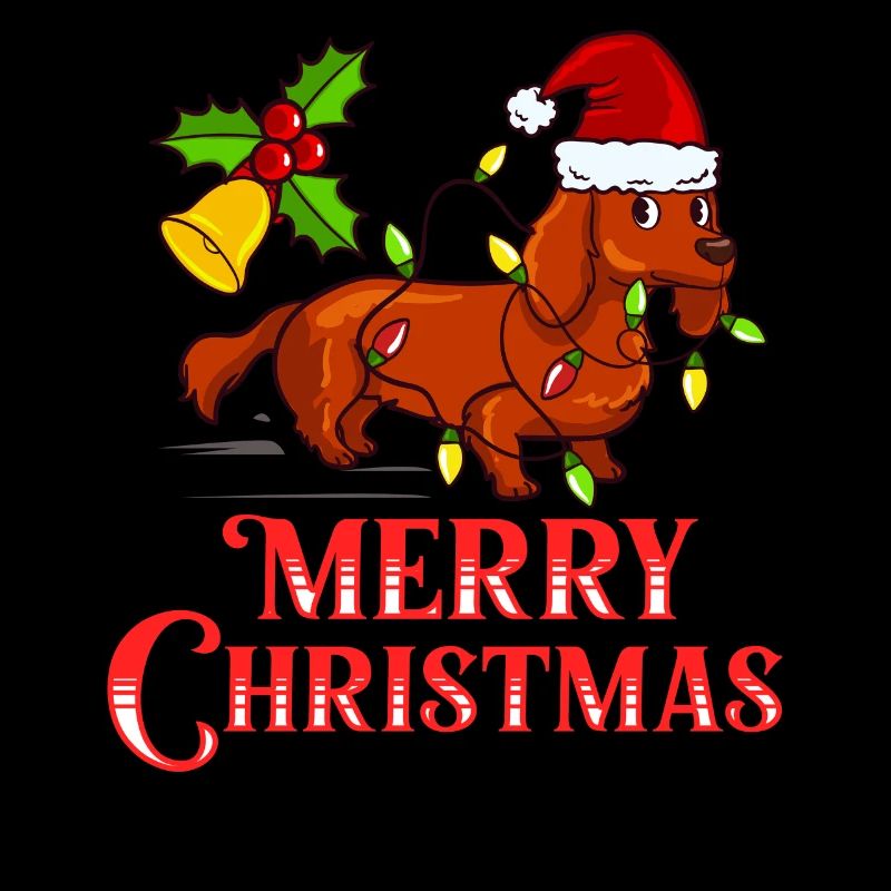 Doxie Teckel Teckel Chien Noël