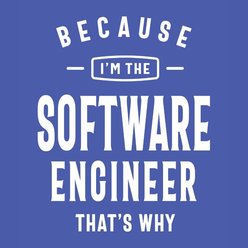 Software Engineer Job Title Profession