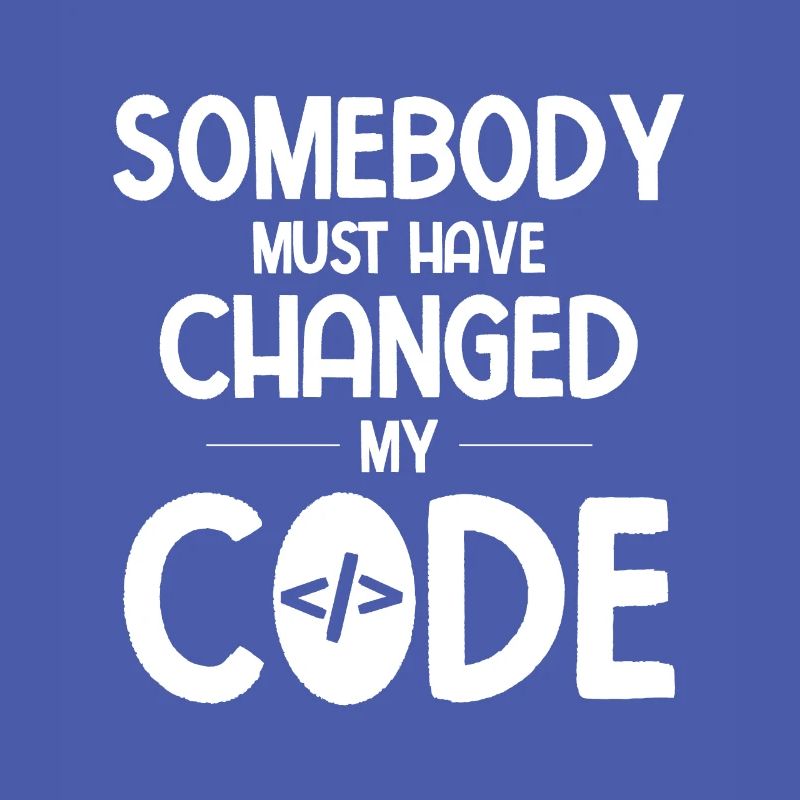 Software Ingenieur Informatiker Programmierer