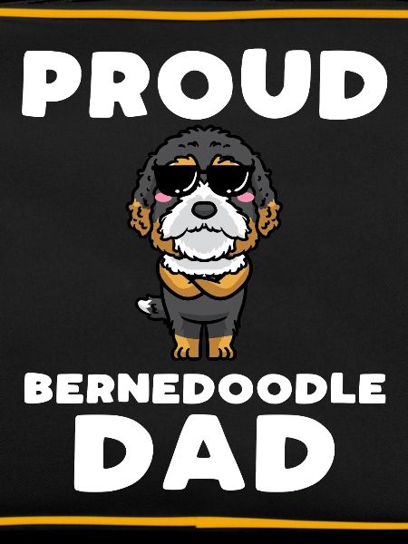 Bernedoodle Dog