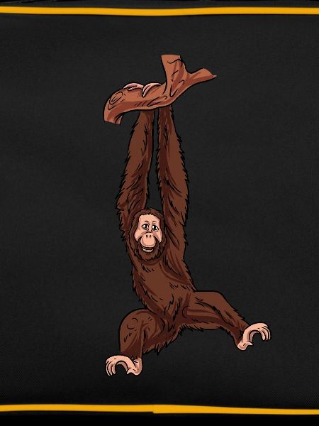Orangutan