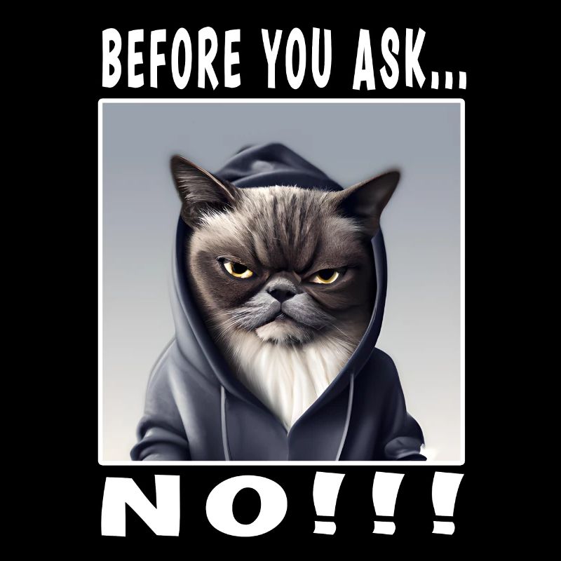Before you ask no