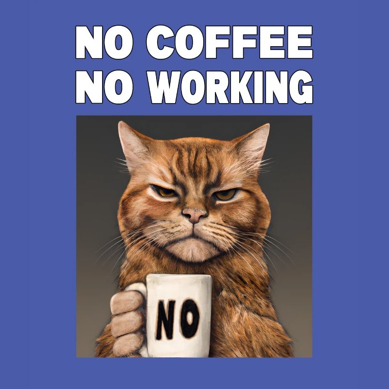 no coffee no working. Grumpy Funny Cat
