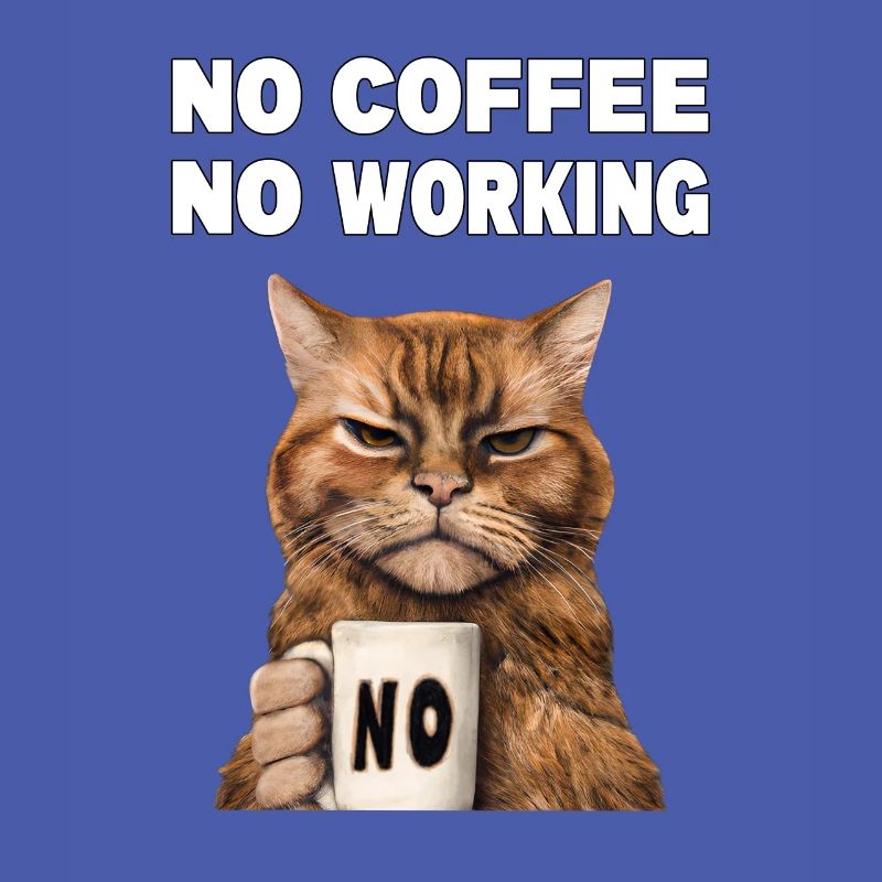 no coffee no working. Grumpy Funny Cat