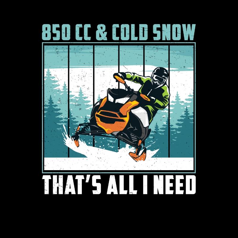 850 cc & Cold Snow Mobile Riding Motor Schlitten