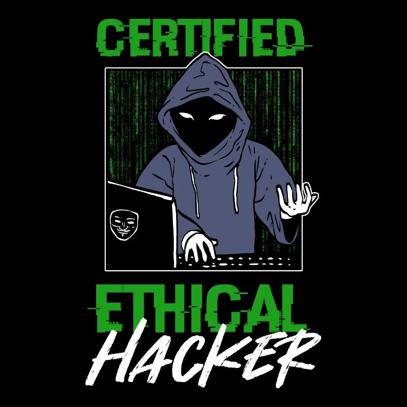 Certified Ethical Hacker Hacking Network Developer