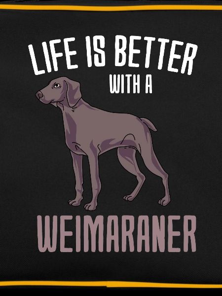 Weimaraner