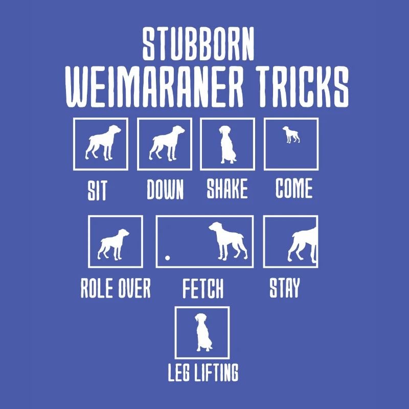 Weimaraner