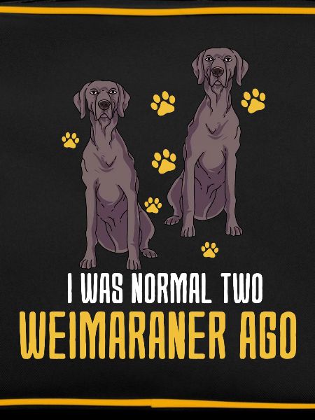 Weimaraner