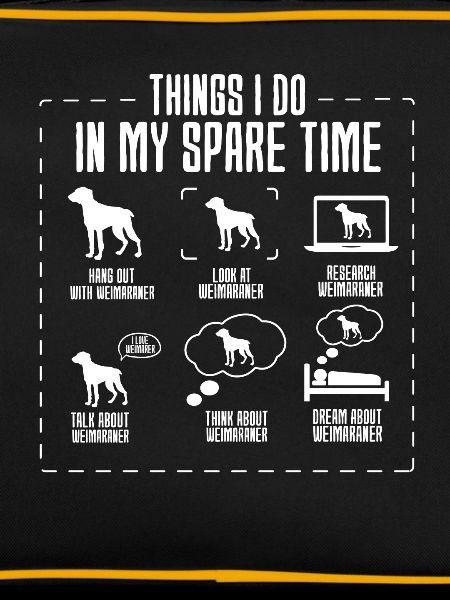 Weimaraner