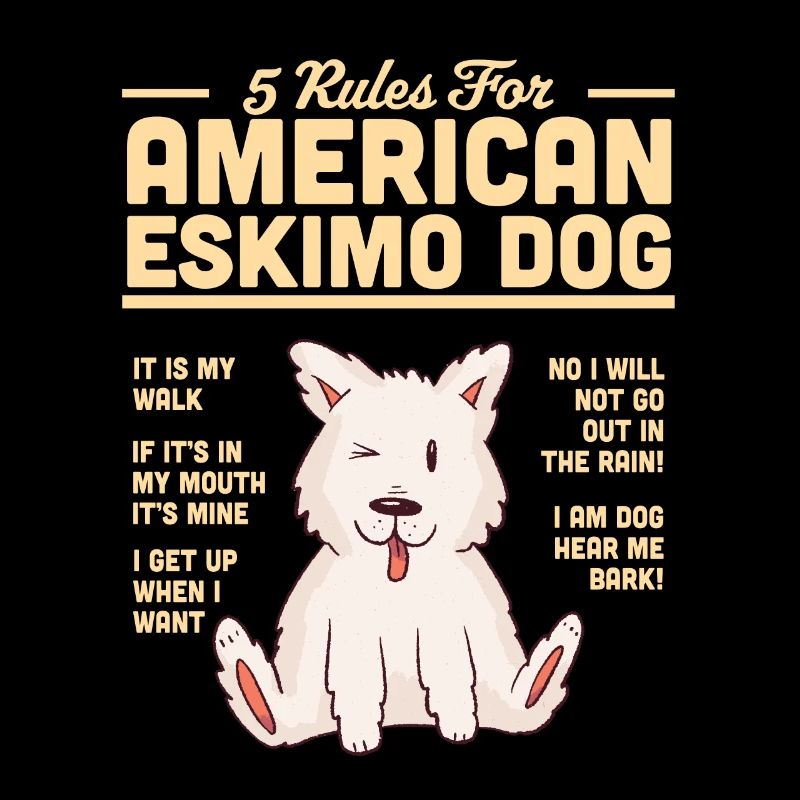 American Eskimo Dog