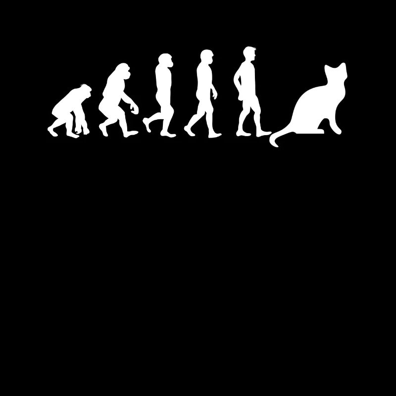 Snowshoe Cat Snowshoe Cat Evolution