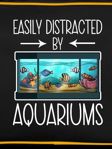 Aquarium Fish Gift