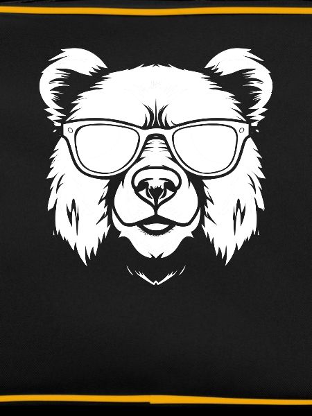 Bear Brown Bear