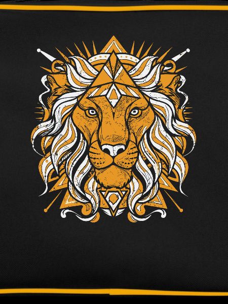 Lion Abstract