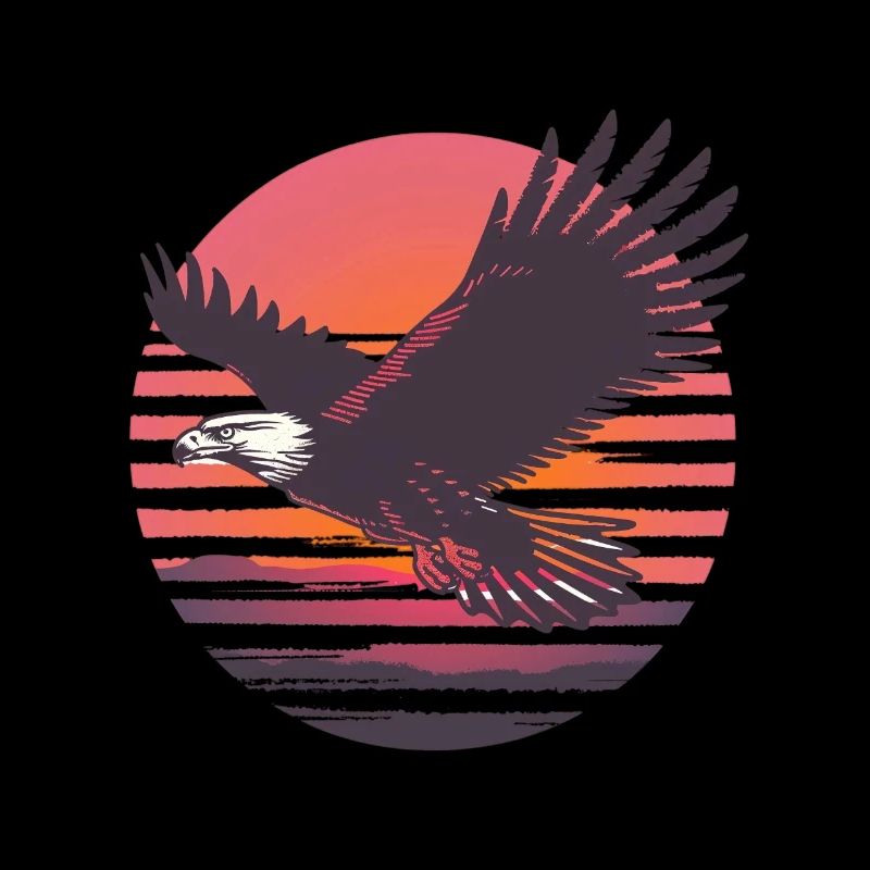 Eagle in flight before sunset