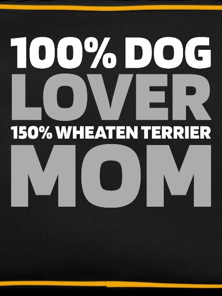 Terrier froment