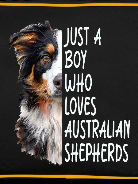 Australian shepherd
