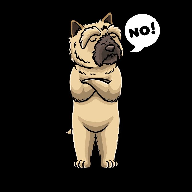 Chien Cairn Terrier