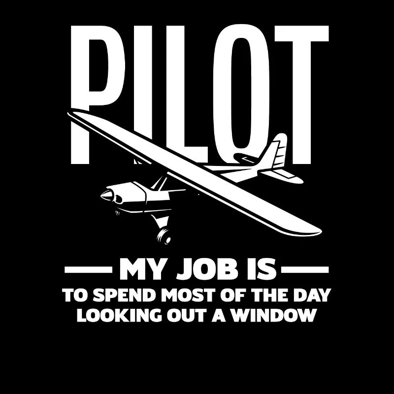 Pilote Pilote Professionnel Cadeau École de Pilotage