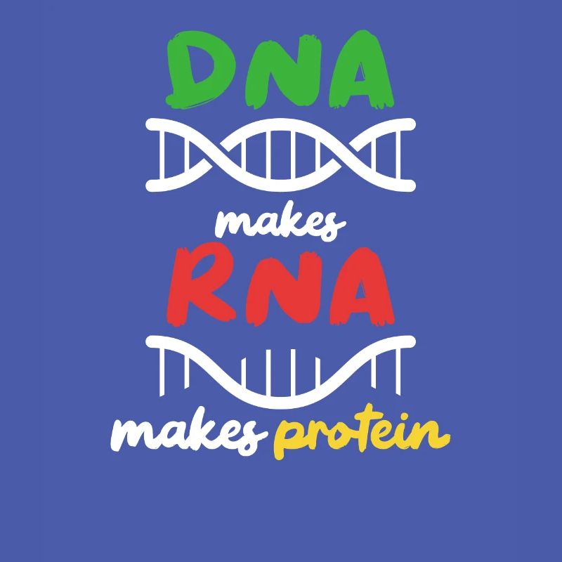 Aus DNA wird RNA wird Protein