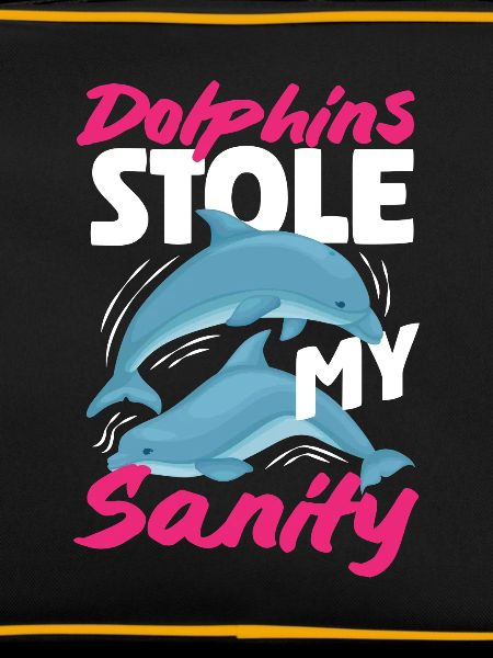 Dolphins stole my mind