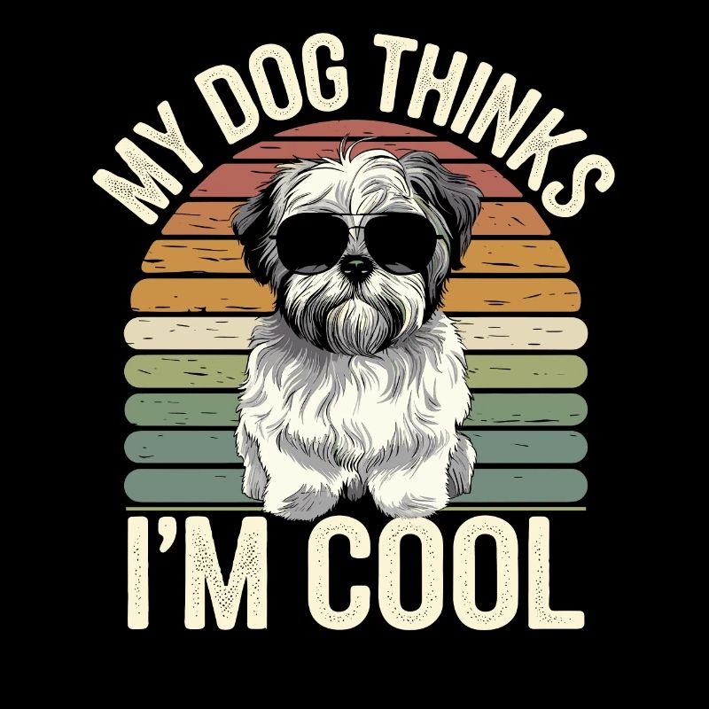 Shi Shitzu Mein Hund Denkt Das Ich Cool Bin
