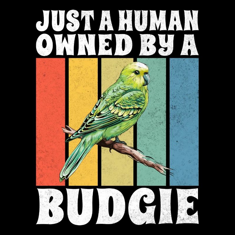 Budgie Gift