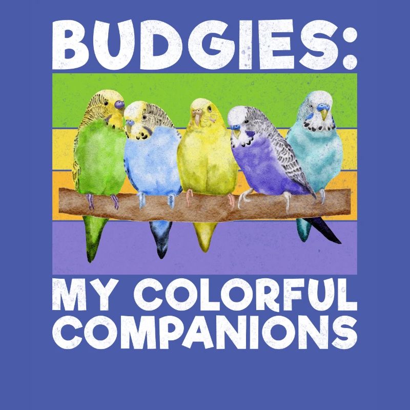 Budgie Gift
