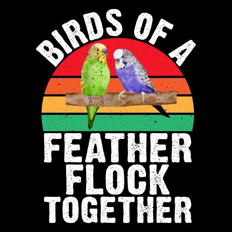 Budgie Gift