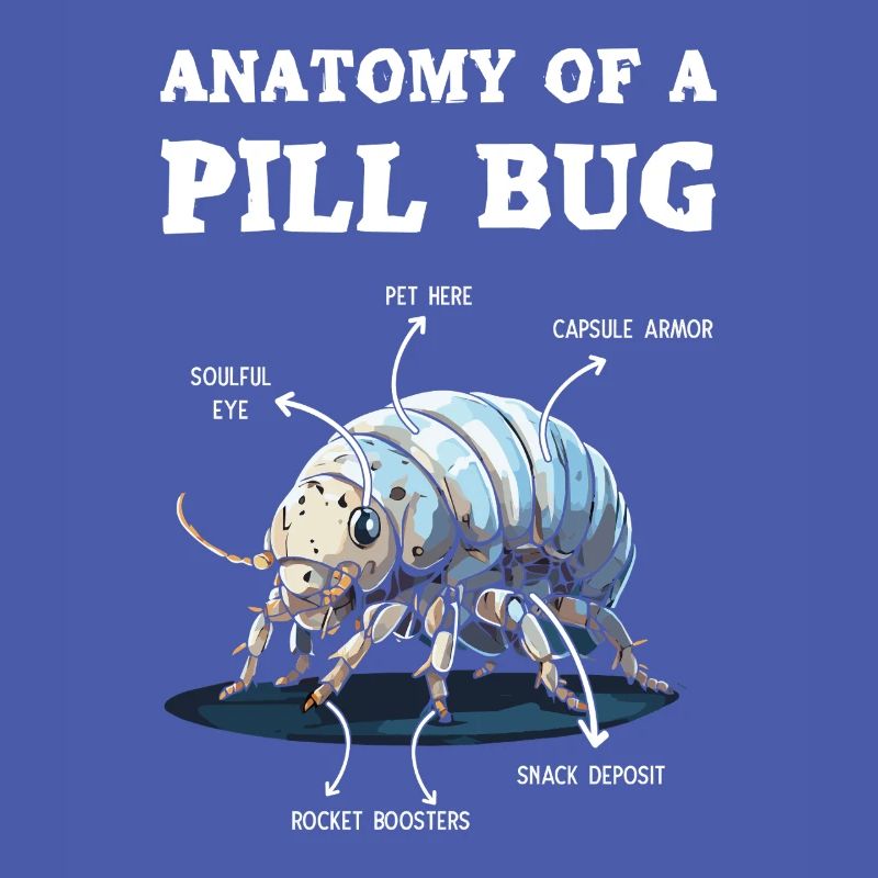 Anatomie Eines Pillenbugs