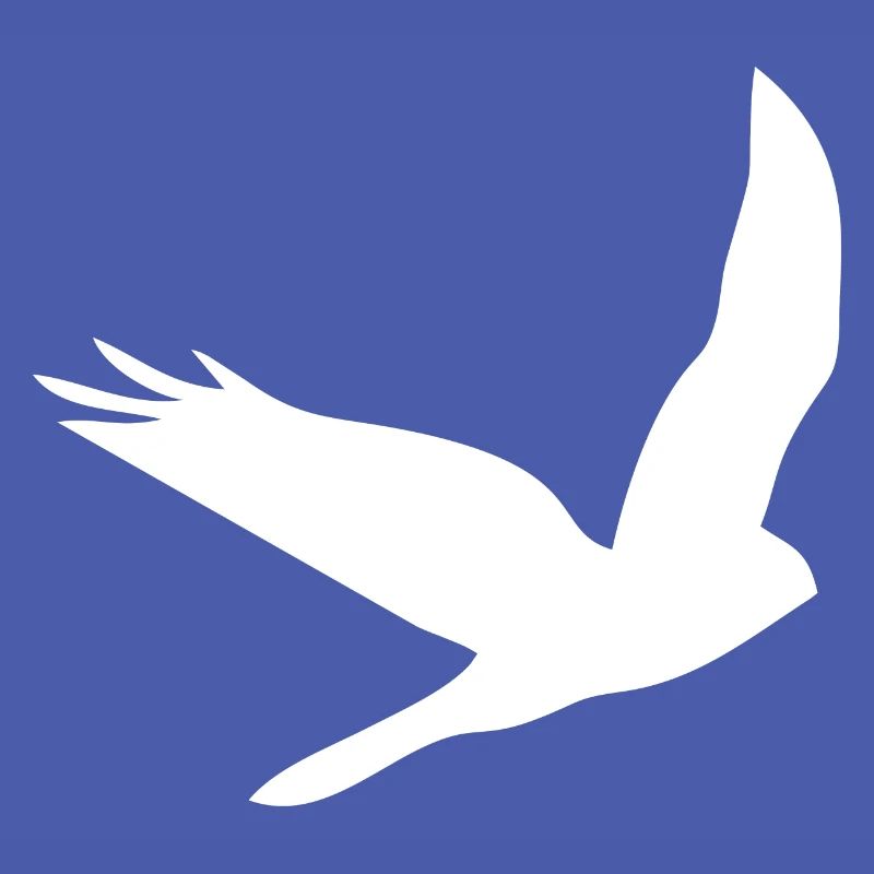 Bird Eagle Birds Fly