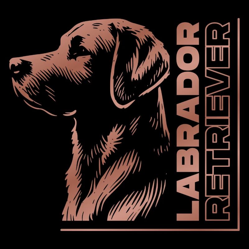 Labrador drawing head rose gold