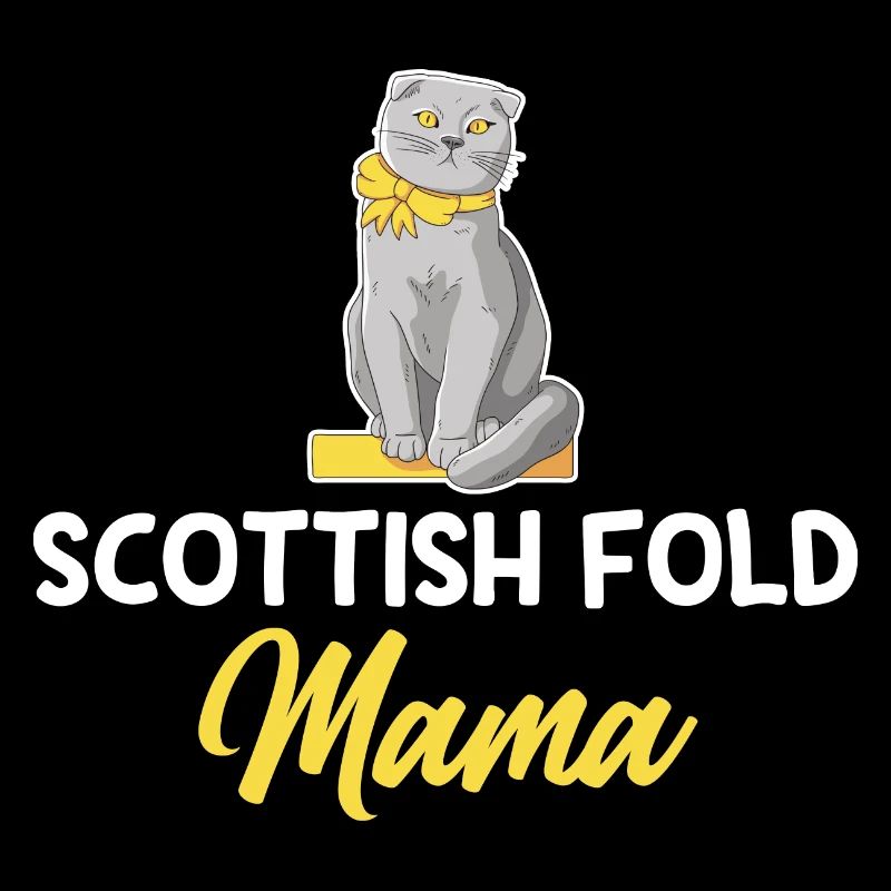 Scottish Fold Katze