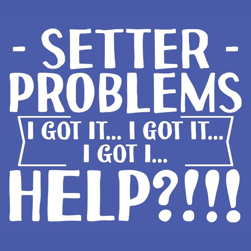 Setter Problems I Got It I Got It I Got It Help4