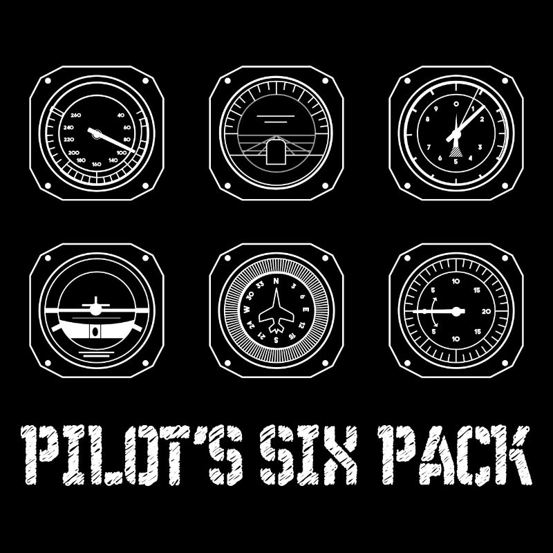 Pilot Six Pack private pilot aviation aircraft fly
