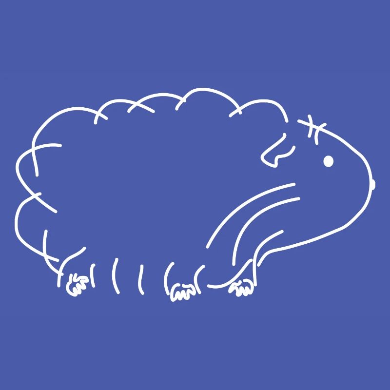 Cochon d'Inde