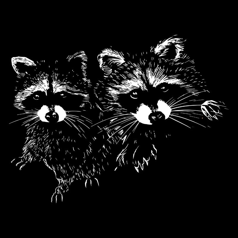 Raccoons
