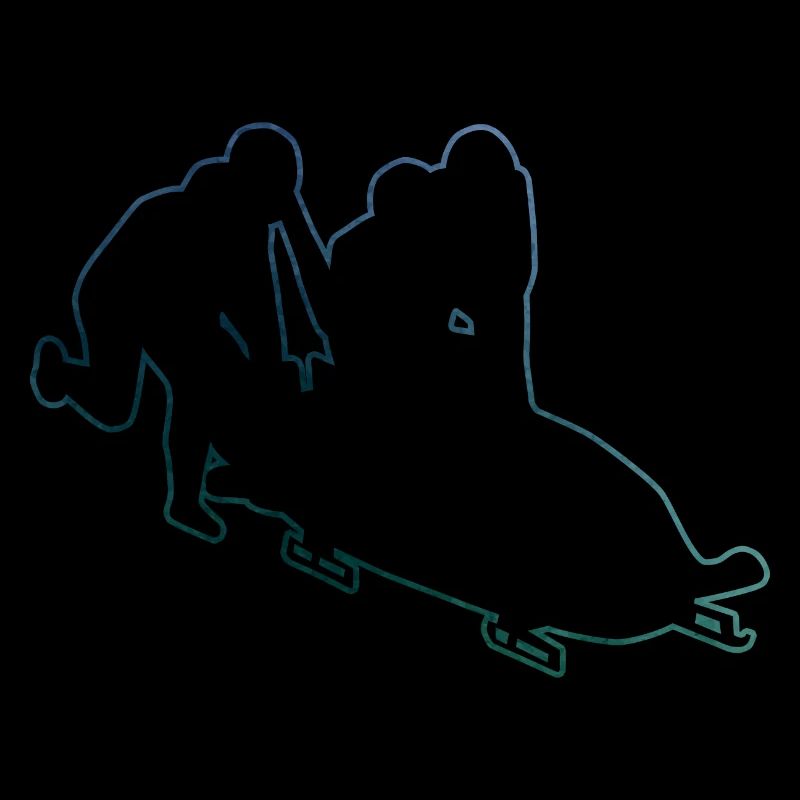 Women's bobsleigh bobsleigh bobsleigh track Bobsleigh two-man bobsleigh