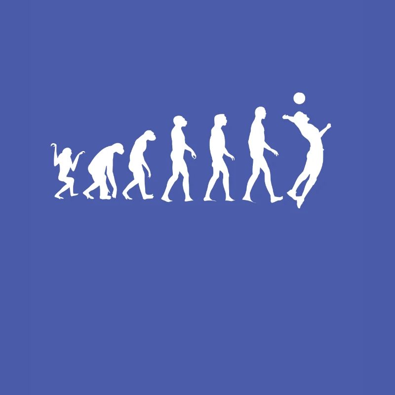 Volleyball Evolution