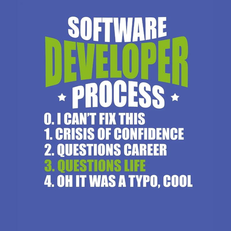 software developer