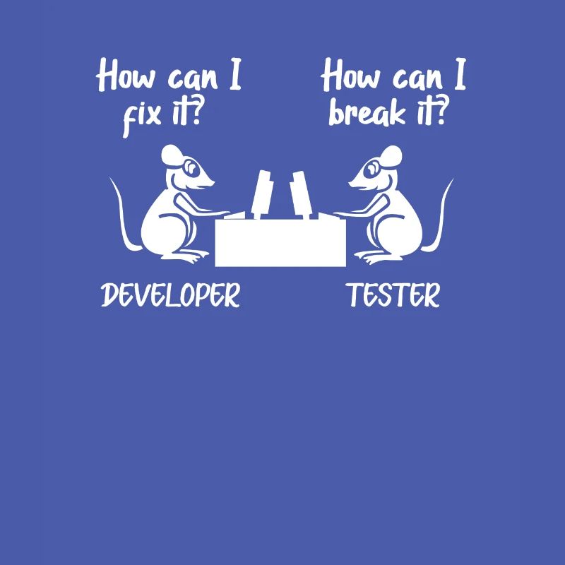 Software developer programmer software