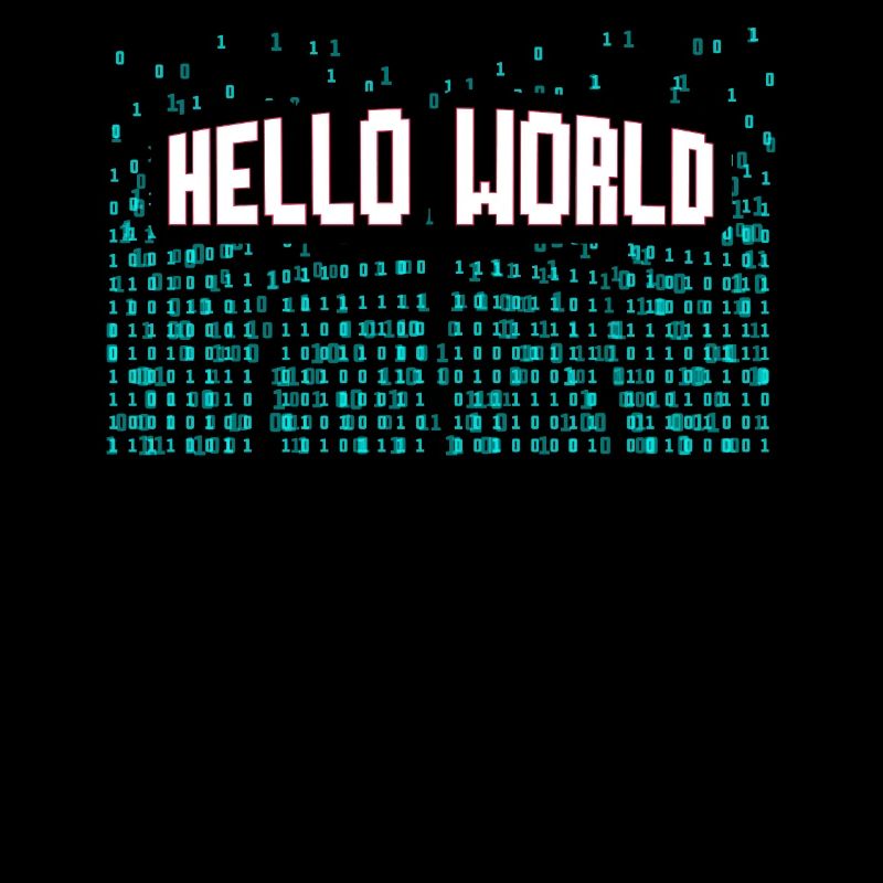 Hello World Computer Scientist Gift