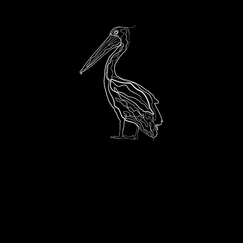 Pelican - one line drawing