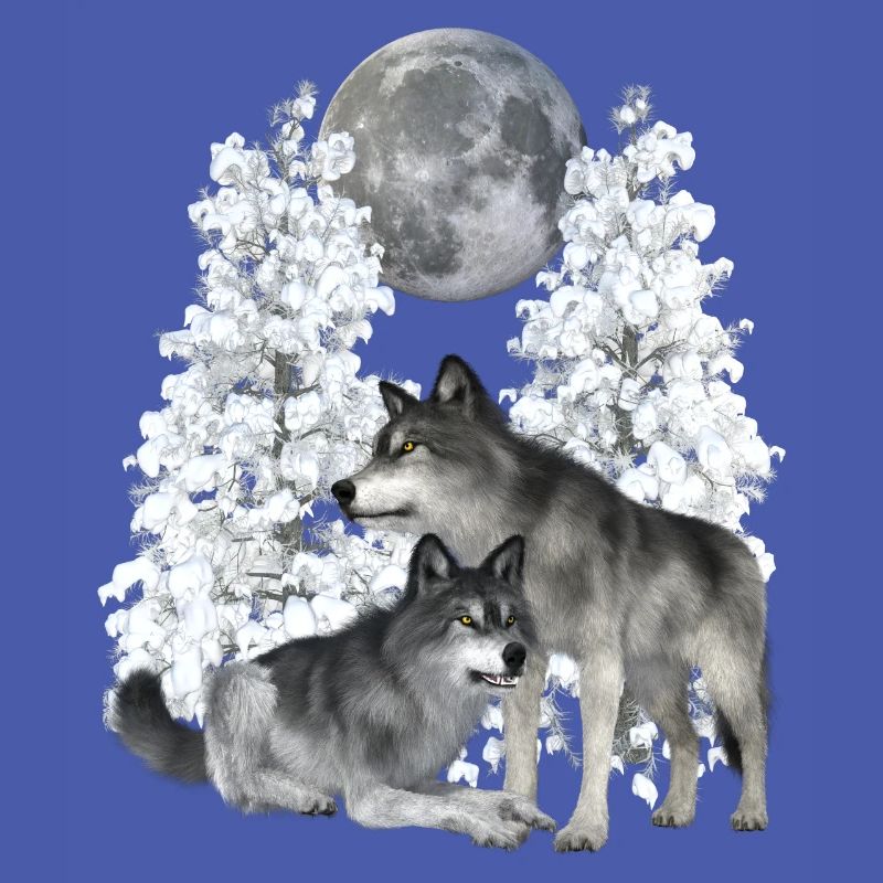 Wolf, wolves in winter