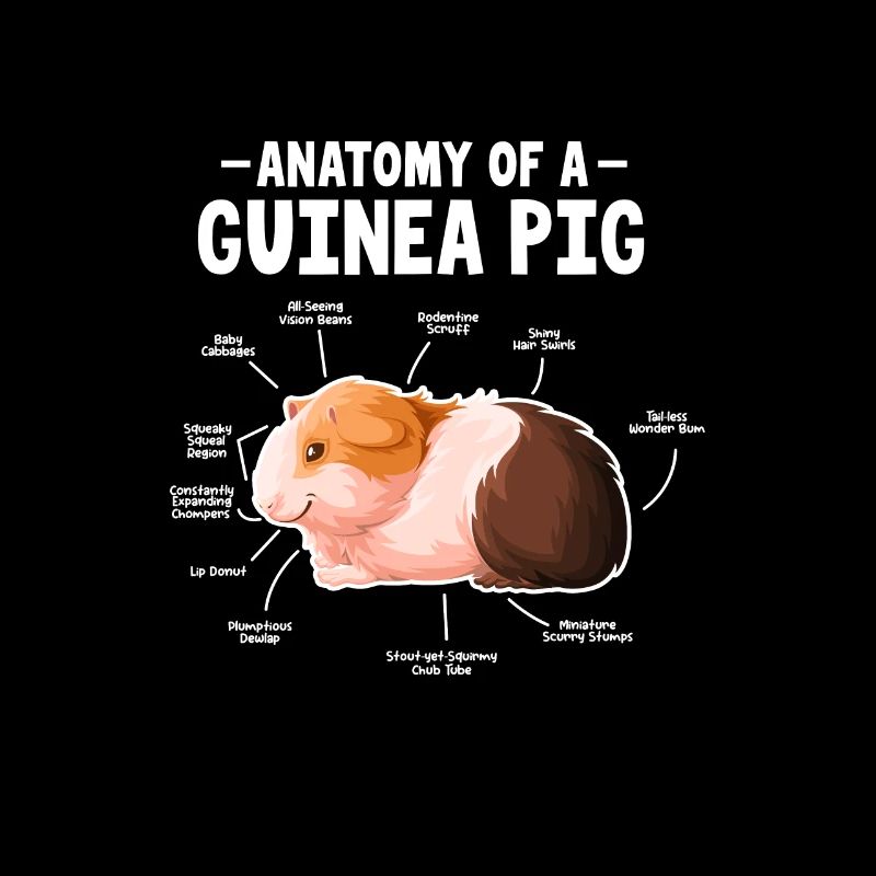 Cochon d’Inde Pet Guinea Pig Cadeau